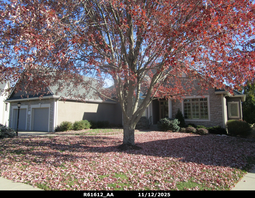 exterior photo of primary building or land of the property